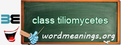 WordMeaning blackboard for class tiliomycetes